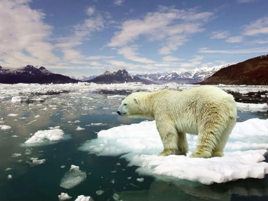 Understanding climate change: causes, effects, and&nbsp;solutions